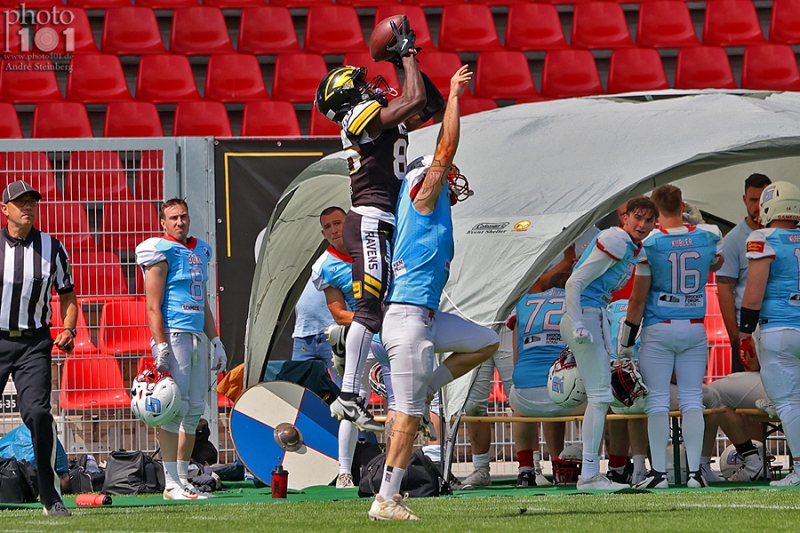 Klicken für Bild in voller Größe