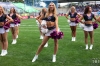 Dateiname=20240825-Frankfurt-Galaxy-Dancers-IMG_8274.jpg
Dateigröße=327KB
Abmessungen: 900x600
hinzugefügt am: 24. August 2025 20240825-Frankfurt-Galaxy-Dancers-IMG_8274.jpg